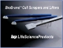 Picture of BioBrand™ Sterile Cell Scrapers and Cell Lifters