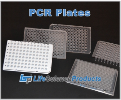 Picture for category PCR Plates