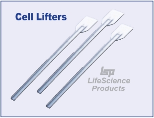 Picture of Sterile, 18cmL Cell Lìfters with 20mmW Blade, 100/pack