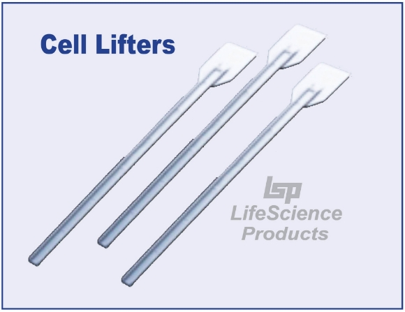 Picture of Sterile, 18cmL Cell Lìfters with 20mmW Blade, 100/pack