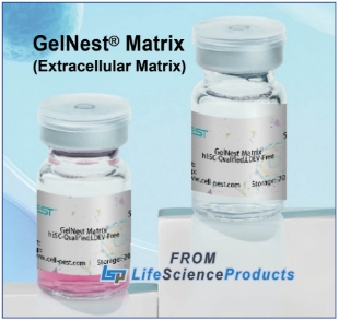 Picture of NEST GelNest Matrix, with Phenol Red, Growth Factor Normal, LDEV-Free, 5ml/bottle, 1 bottle/bag