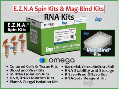 Picture for category RNA & DNA/RNA Kits — EZNA & Mag-Bind Kits RNase-Free DNase Set