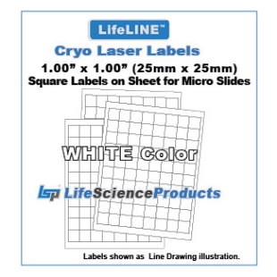 Picture of LSP's LifeLINE™ - White Color - Cryo·Laser Lábels on Sheets, 0.98" x 0.98" (24.5mm x 24.5mm) Rectangular, 80/sheet, 20 sheets, 1,600/pack